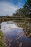 Mill Lawn Brook Bridge
