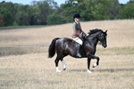 WJ7_7614