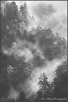 As the Mist Clears