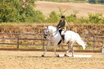 SBM_000527