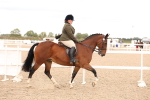 SBM_16478