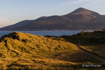Slieve Donard from Murlough