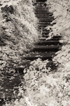Wycoller 009
