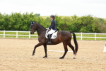 SBM_006872