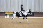 SBM_002603