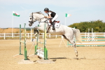 SBM_003266