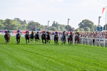 220826-Race 5-Sondad-1057