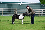 SBM_03533