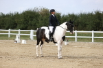 SBM_017992