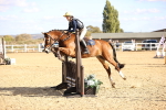 SBM_003263