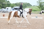BPP_0160