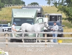 JAC_3507