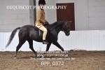 BPP_0372