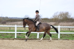 SBM_006952