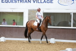 SBM_003892