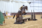 SBM_003353