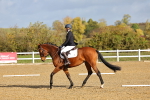 SBM_000808