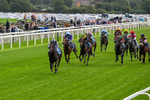 Race 1 1.30pm Irish Thoroughbred Marketing 'Confined' EBF Maiden Stakes portfolio