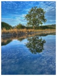 MEMBERS' IMAGES portfolio