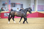 SBM_02305