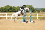 SBM_000804
