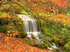 Autumn Fall