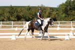 SBM_003702