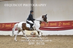 BPP_8638