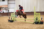 SBM_001181