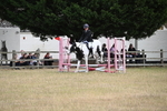 WJ6_1254