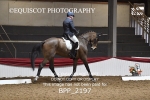 BPP_2197