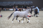 SBM_007280