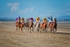 Laytown Horse Racing