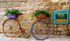 Bike with Flowers and Art