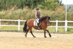 SBM_000504