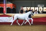 SBM_14665