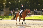 362-GLOBAL.AMARETTO-Charlotte.Agnew-DR portfolio
