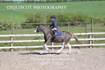 BPP_6804