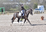 BPP_9778
