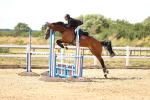 SBM_001347