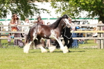 SBM_08545