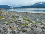 Seward-38