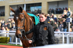 Race 2 portfolio