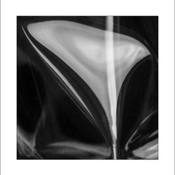 A.R.P.S. images portfolio