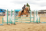 SBM_001971
