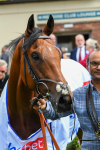 290723-Race 1-Soul Seeker-0365