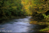 River North Esk at Grannochy, Autumn Colour 5