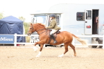 SBM_06797