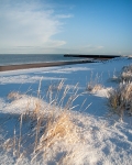Central Beach - January