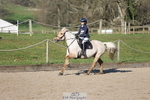 80cm Start to 11.10 portfolio